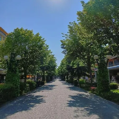 Viale Di Life Apartment